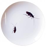 恐怖!? 虫 皿 ゴキブリ SAN2100