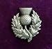 Heavy Scottish Thistle Pin (Solid Pewter)