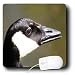 SmudgeArt Bird Artwork Designs - Canada Goose - Bird Photography - Mouse Pads