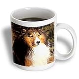 Dogs Sable Border Collies - Sable Border Collie - Mugs