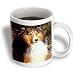 Dogs Sable Border Collies - Sable Border Collie - Mugs