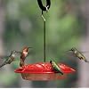 Aspects Hummingbird Hummzinger Ultra Feeder