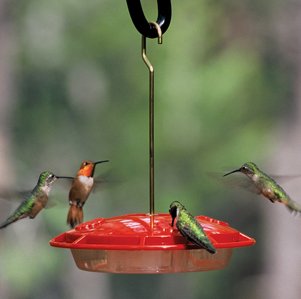 Aspects Hummingbird Hummzinger Ultra Feeder 310 SOkHNYL Aspects Hummingbird Hummzinger Ultra Feeder