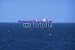 Wallmonkeys Peel and Stick Wall Decals - Container Ship - Removable Graphic