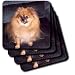 Pomeranian Dog - Set Of 8 Ceramic Tile Coasters