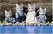 CALICO CRITTERS FISHER CAT FAMILY