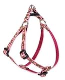 Lupine Small Dog Harness - Cherry Blossoms (Step-In) 12-18 inches