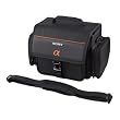 Sony ACC-AMFM11 Accessory Kit (Includes NP-FM500H Rechargeable Battery Pack and LCS-SC11 Case) for