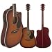 Carlo Robelli W4103FCS Acoustic Electric Guitar (Flame Coffee Burst)