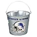 Detroit Lions NFL Bumper Sticker