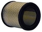 Wix 42143 Air Filter, Pack of 1