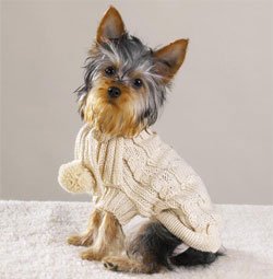 Childrens Toyshop  Pet Supplies : NATURAL - SMALL - Pure Wool Sweater - FASHIONABLE DOG SWEATER -