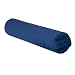 Sporting Goods : Hugger Mugger Back Massage Roller (Blue)