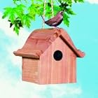 Woodstream Wildbird Cedar Wren House 6.5 Inch - 50301 50160 by WOODSTREAM WILDBIRD