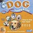 EASY DOG TRAINING & CARE