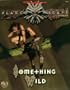 Something Wild (AD&D Fantasy Roleplaying, Planescape Setting Adventure)