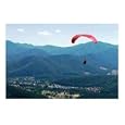 Fly like a Bird Sports Photographic Poster Print by Glenn R McColl, 20x16