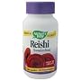 Reishi Mushroom - Standardized Extract 100 caps