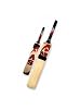 Buy Cricket Ball - Cricket Bat tennis ball softball bat