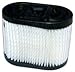Air Filter Fits Tecumseh 36905, Craftsman 65, RVS115, Oregon 30-031 Stens 100-812