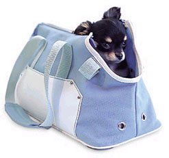 Little Canvas Carrier Blue Small