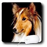 Dogs Sheltie/Shetland Sheepdog - Sheltie Shetland SheepDog - Mouse Pads