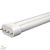 Coralife 65 Watt 6700K Daylight PowerCompact Bulb - Straight Pin