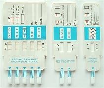 6-DRUG URINE DIP TEST (10 TESTS)