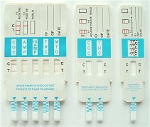 THC Marijuana Dip Strip Test Pack of 10