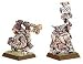 Warhammer Zwerge Runenmeister [84-41]