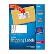 Shipping Labels with TrueBlock Technology, 3-1/3 x 4, White, 600/Box
