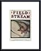 FIELD & STREAM: April 1907 by Paul Bransom / FIELD & STREAM Magazine 11.00X17.00 Framed with Black Metal Frame