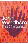 Childrens Toyshop  Books : The Chrysalids (Penguin Modern Classics)