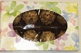 Scott's Cakes Pecan White Chocolate Truffles 1/2 Pound Daisy Box