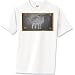 Steel Wool T-Shirt 6.1 Heavyweight