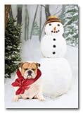 English Bulldog Adorable Dog Wearing Red Bow Next to Snowman ~ Box (Dozen - 12) Holiday Christmas Cards