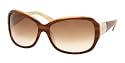 POLO RALPH LAUREN 5005 535/13 BROWN HORN/BROWN GRADIENT PLASTIC SUNGLASSES