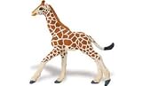 Wild Safari Reticulated Giraffe Baby