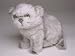   - Silver Persian Kitten, Sitting - Lifelike Plush|One Size - 8 inches