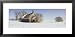 Abandoned Schoolhouse on a Snow-Covered Landscape, Friberg Township, Minnesota, USA Framed Art Poster Print by Panoramic Images, 31x15