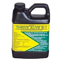 Thrive Alive B-1 Green - Gallon