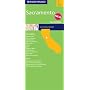 Rand McNally Sacramento City Map: Folded (Rand McNally Folded Map: Cities)