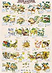 Frogs and Toads Poster(#42)
