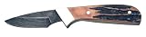 Bear & Son 582D 6-3/4-Inch Genuine India Stag Bone Invinsible Skinner Damascus Knife