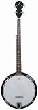J Reynolds 6 String Banjo Plays Like a Guitar ! - B001H3QJF4