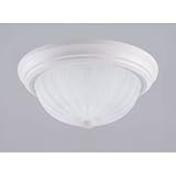 Flush Mounted Light Fixtures