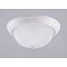 Outdoor Living : Westinghouse 64362 Two-Light Flush Mount Ceiling Fixture, White with Frosted Globes