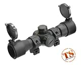 Leapers UTG 1 inch Red/Green Dot sight