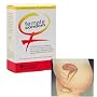 FC Female Condom - Quantity - 10 Pack