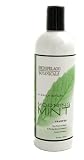 Archipelago Botanicals - Morning Mint Shampoo (Travel)